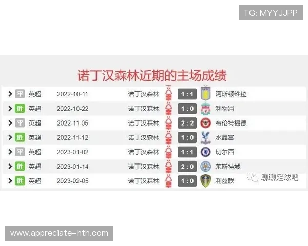 诺丁汉森林俱乐部冬窗引援动态与保级前景深度解析英超赛季最新消息